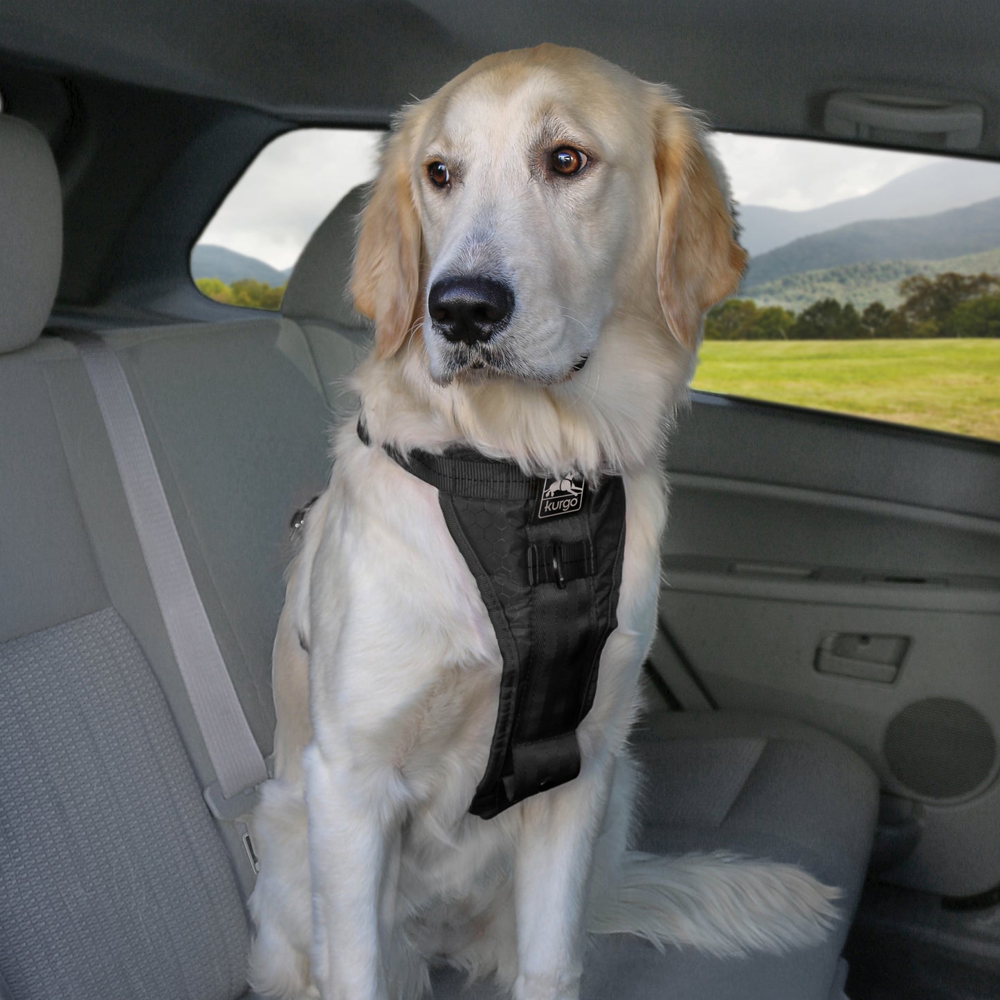 Tru-Fit Smart harness including seat straps