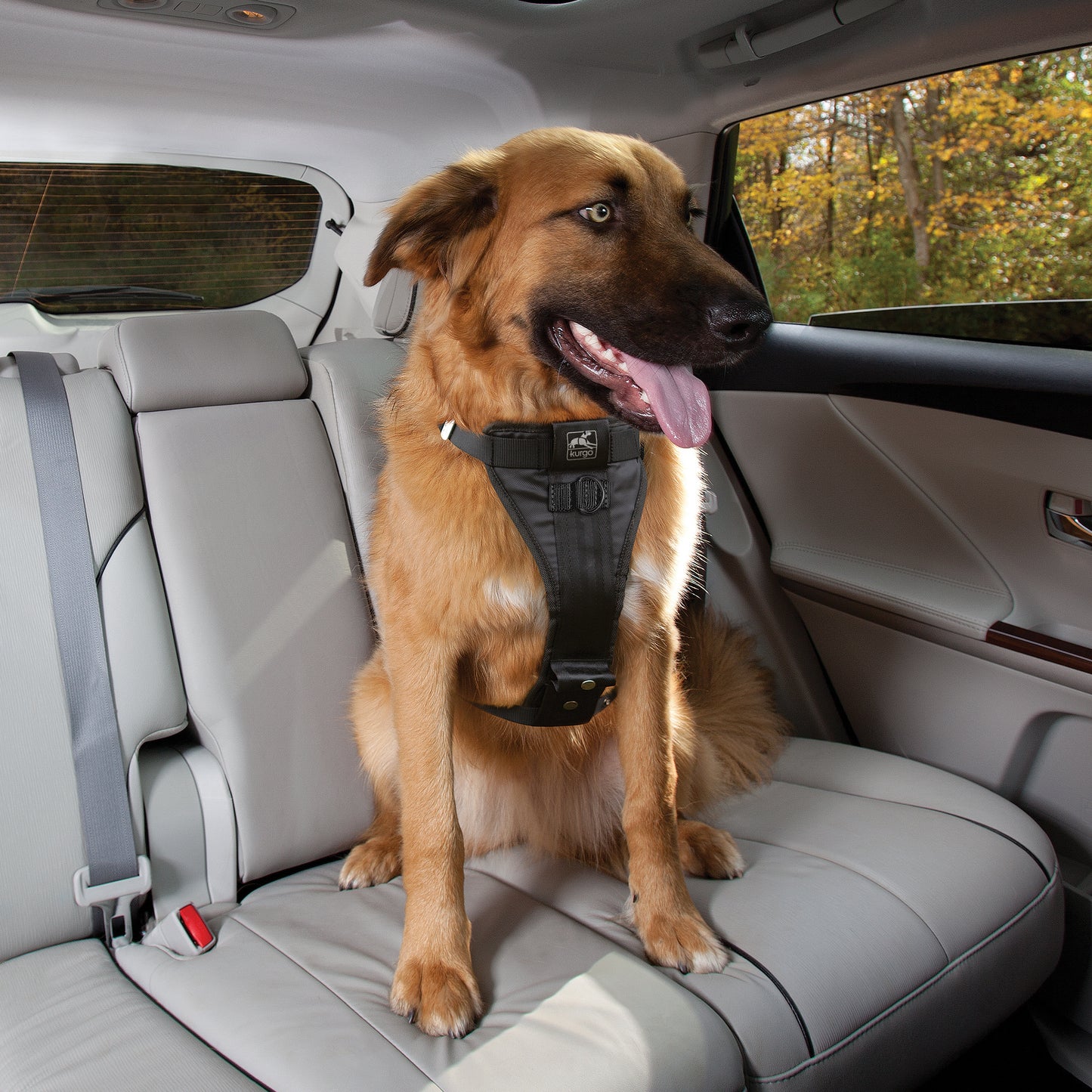 Tru-Fit Smart harness including seat straps
