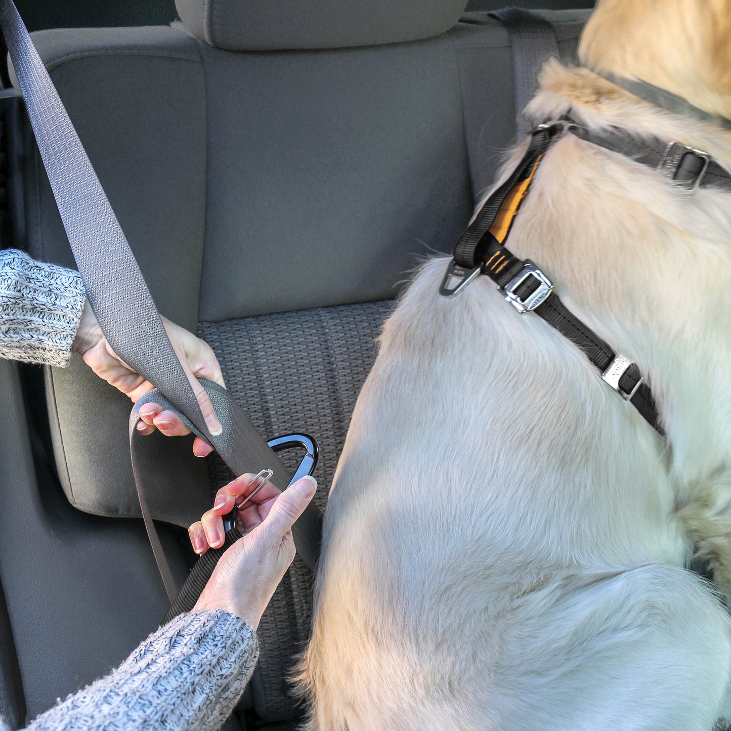 Tru-Fit Smart harness including seat straps