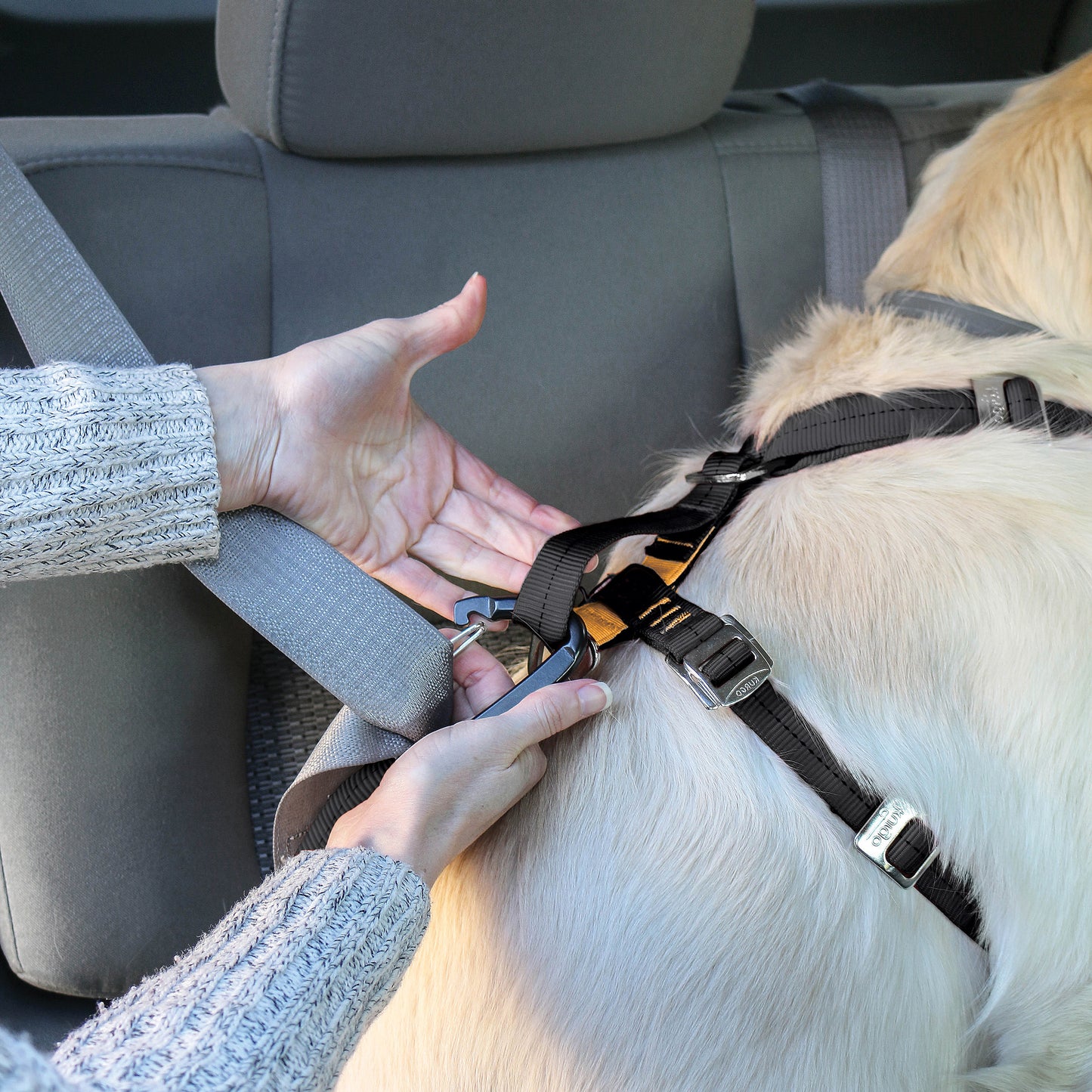 Tru-Fit Smart harness including seat straps
