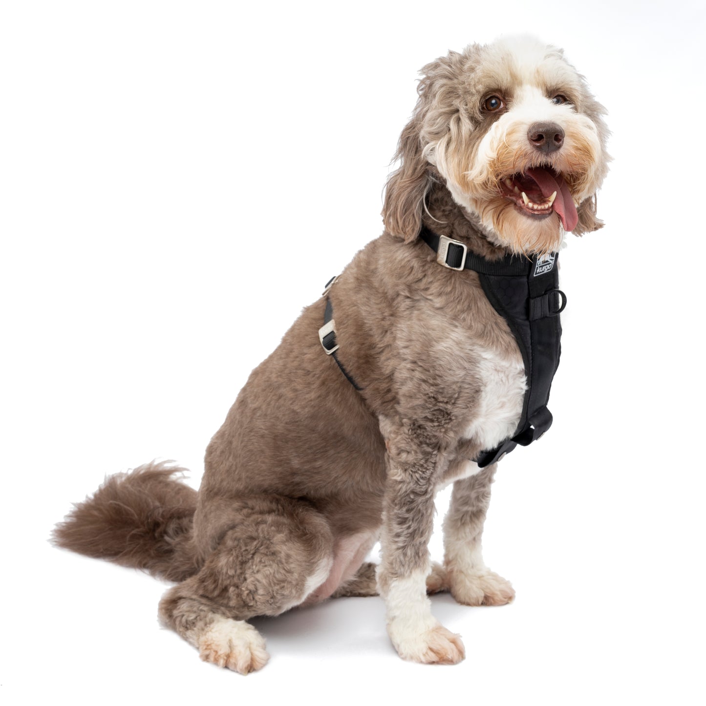 Tru-Fit Smart harness including seat straps