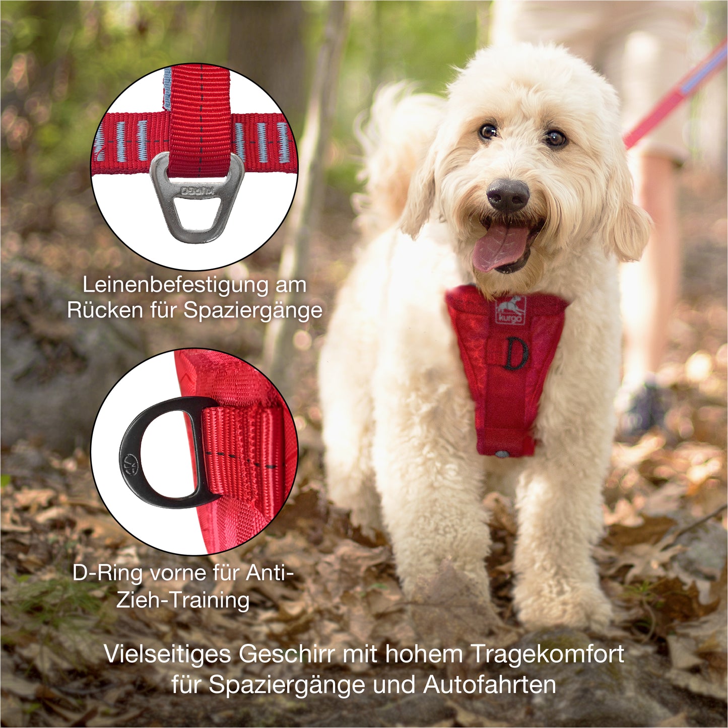 Tru-Fit Smart harness including seat straps