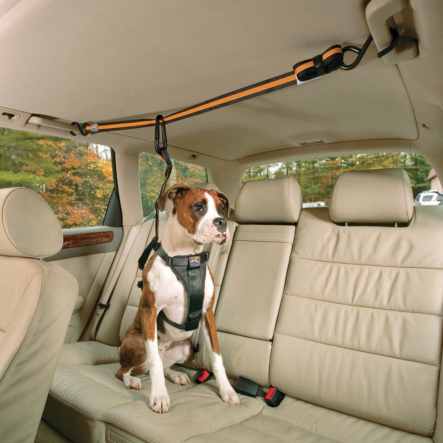 Auto Zip Gurte mit Leine, orange