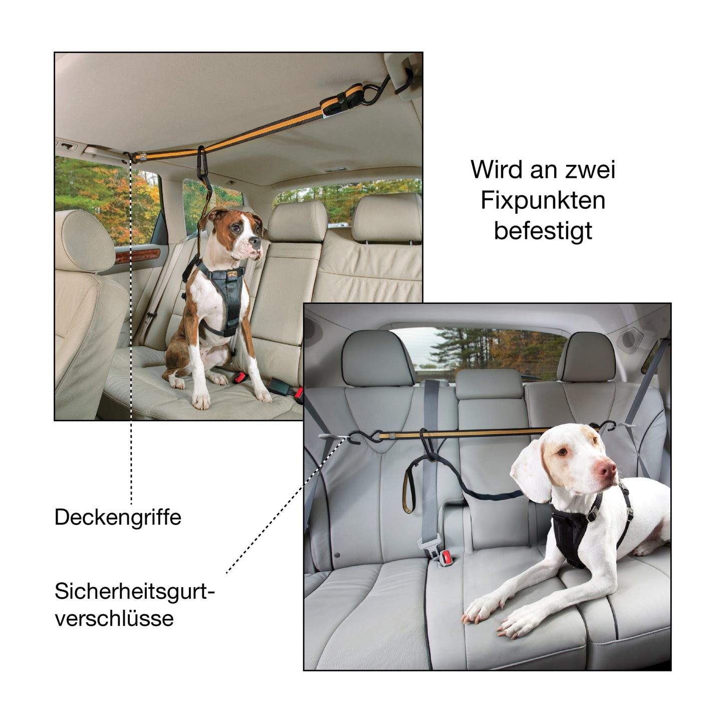 Auto Zip Gurte mit Leine, orange