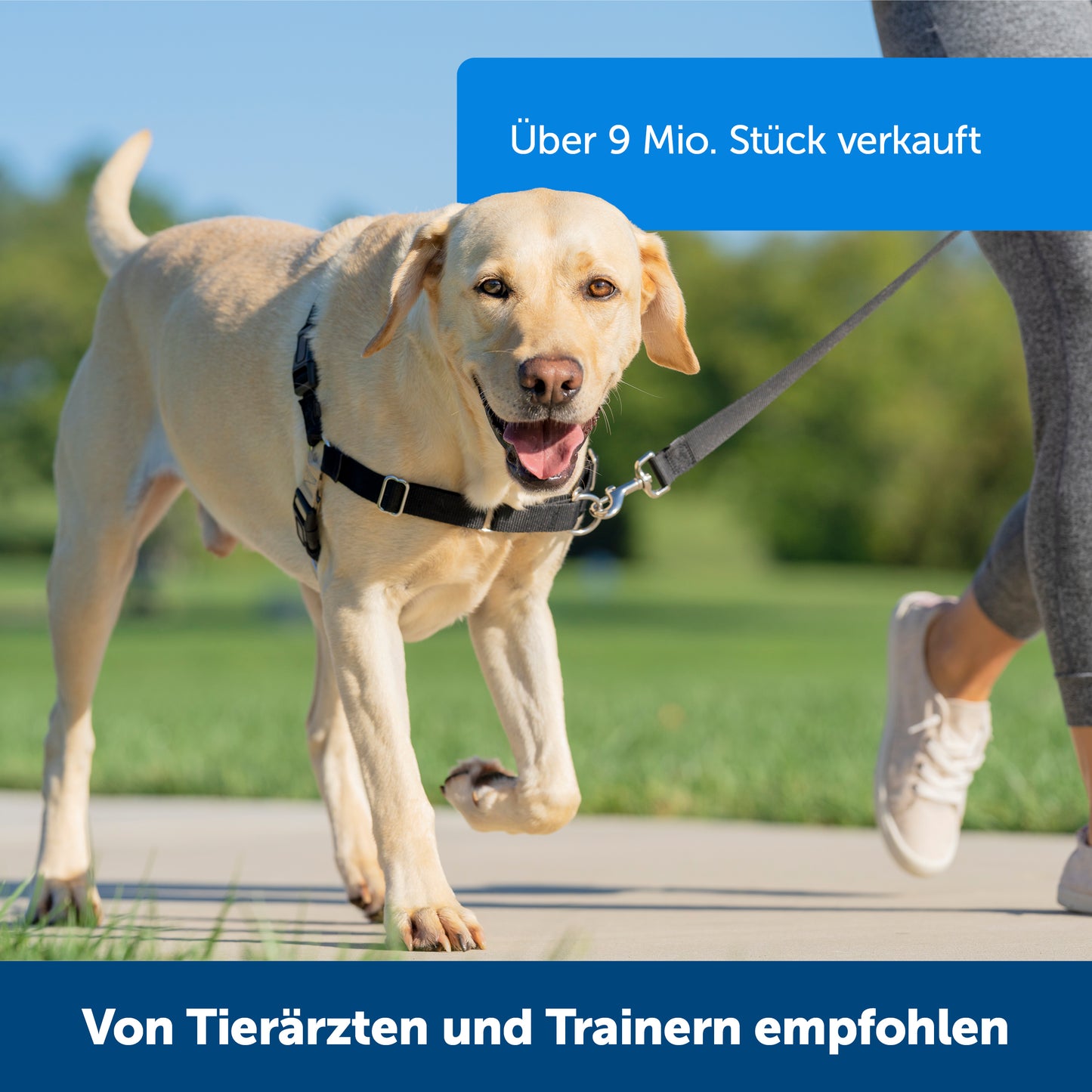 Easy Walk Geschirr, L, schwarz, 66-91 cm