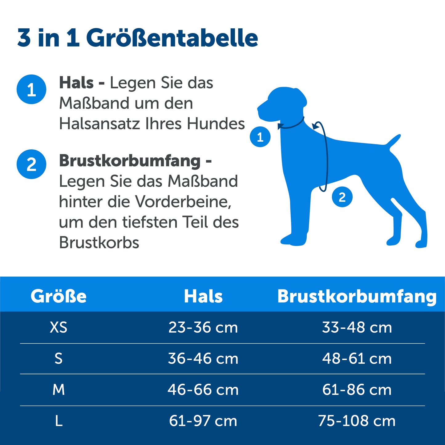 Geschirr & Fahrzeugrückhaltesystem