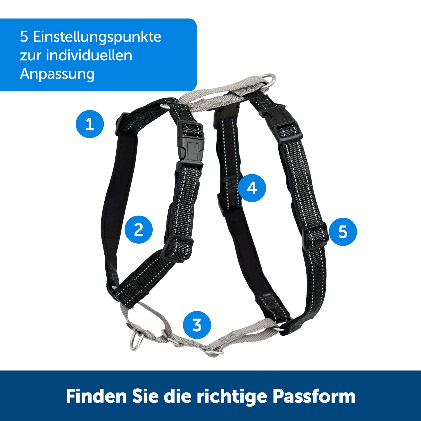 Geschirr & Fahrzeugrückhaltesystem
