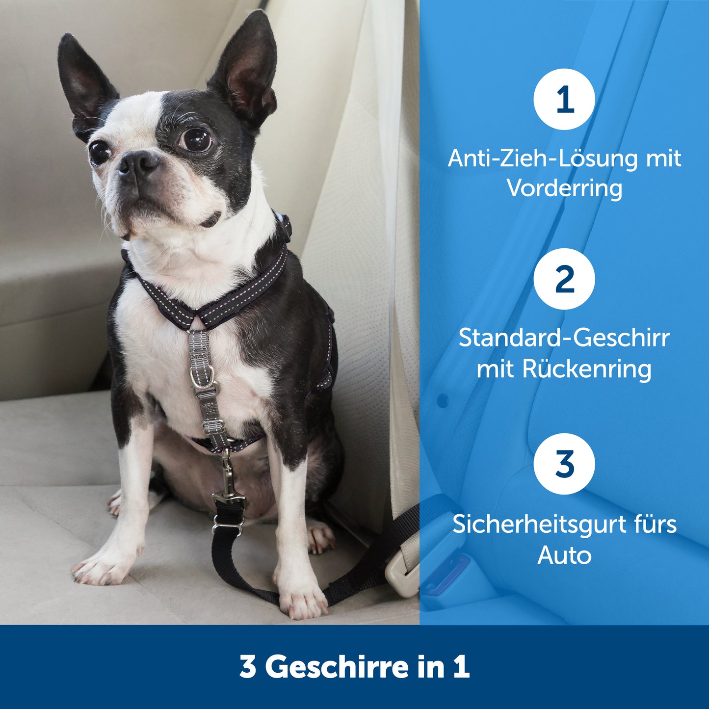 Geschirr & Fahrzeugrückhaltesystem