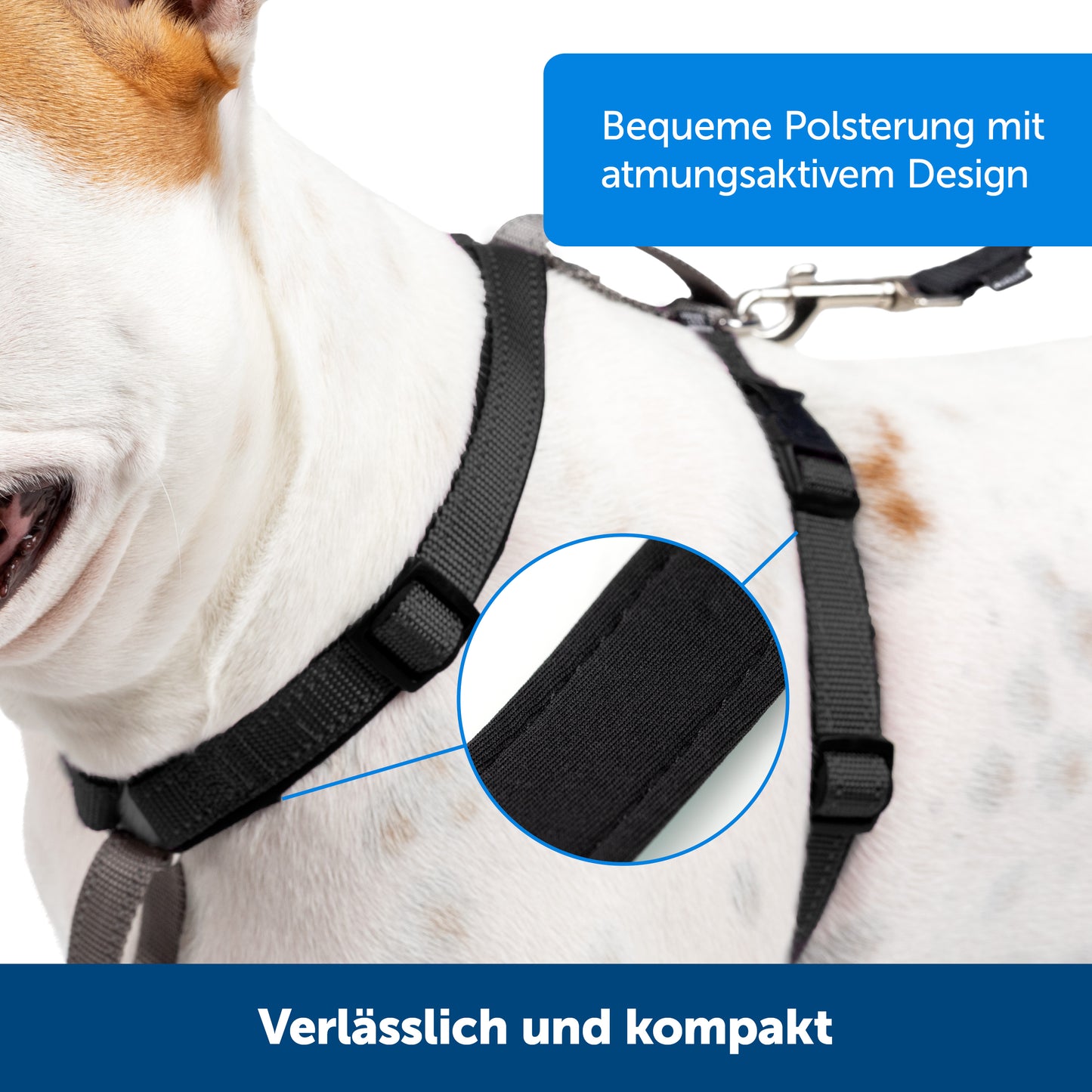 Geschirr & Fahrzeugrückhaltesystem