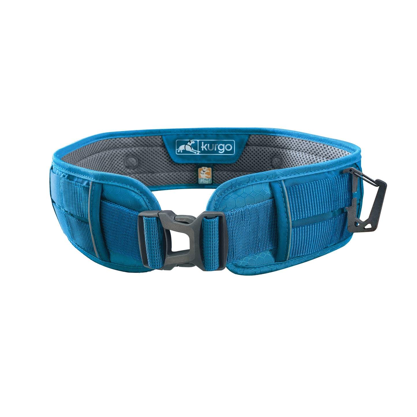 Active accessory strap
