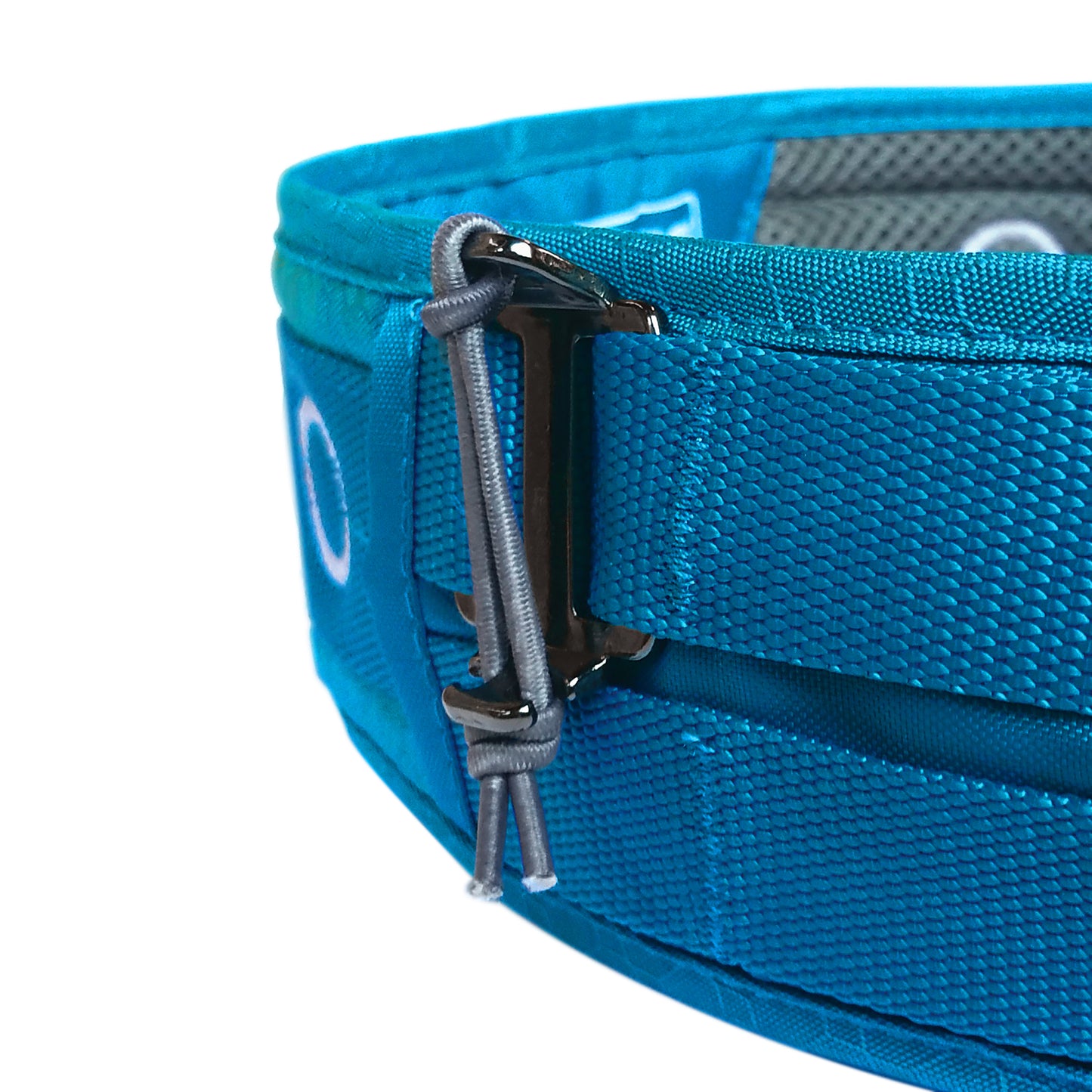 Active accessory strap