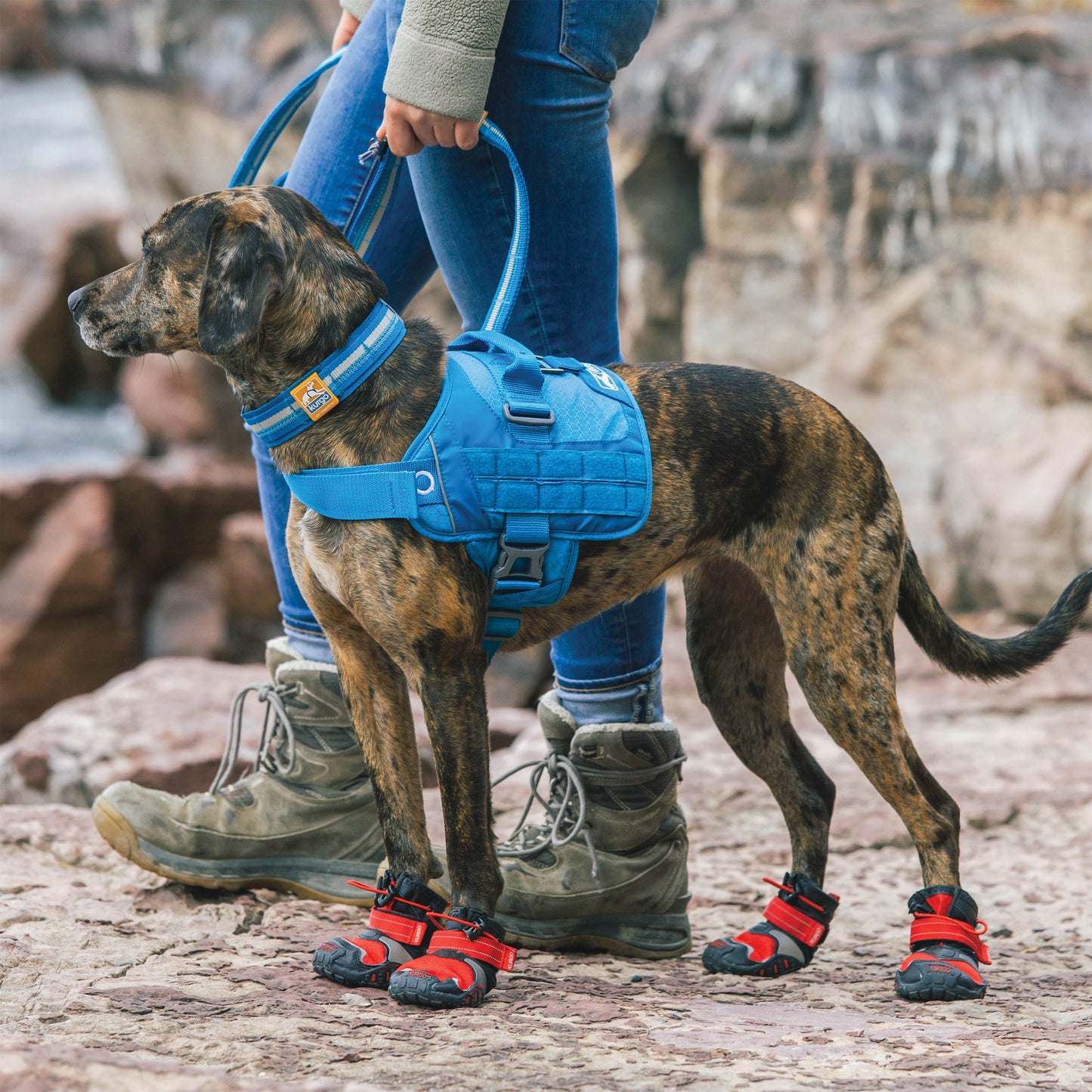 Hundehalsband Kurgo RSG, S/M/L