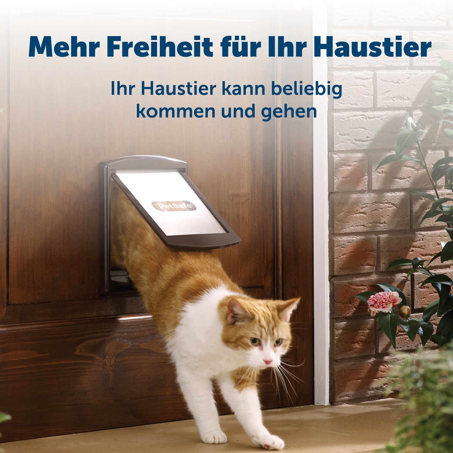 Cat & dog door 2-way br. (730)