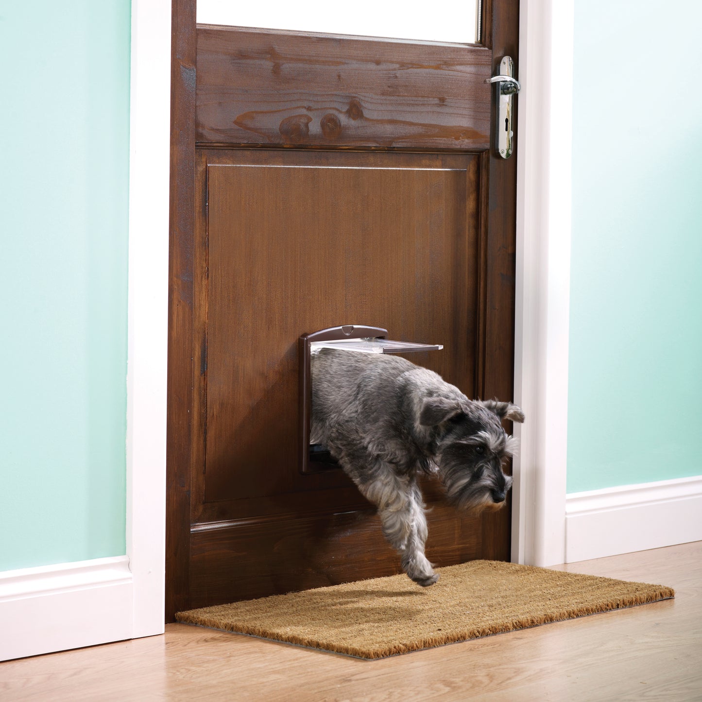 Cat & dog door 2-way br. (730)
