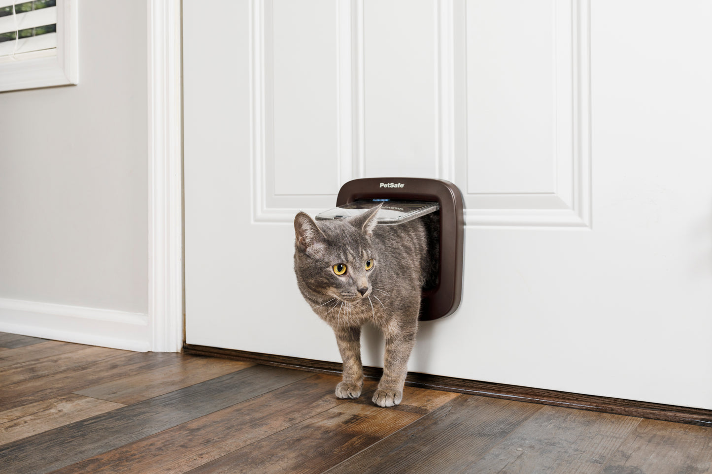 PetSafe® microchip cat flap, brown