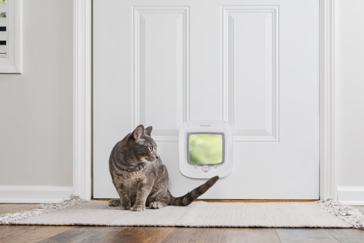 Microchip cat flap, white
