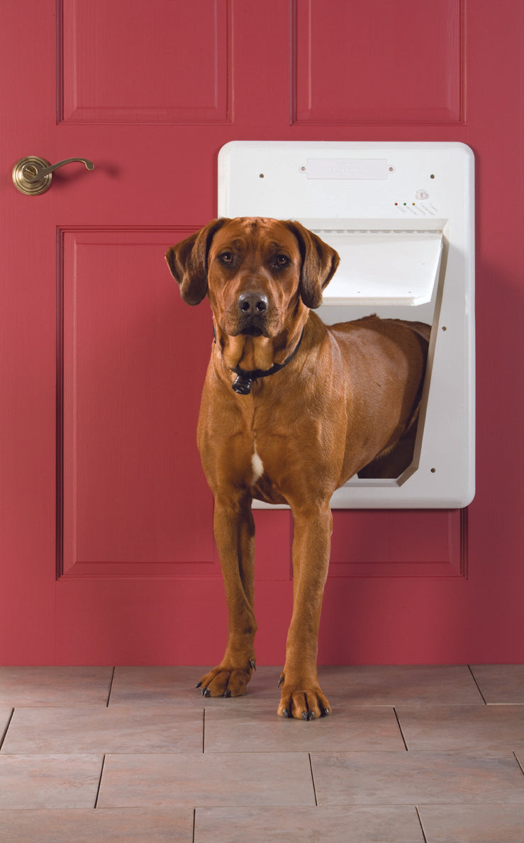 Hundetüre SmartDoor, weiss