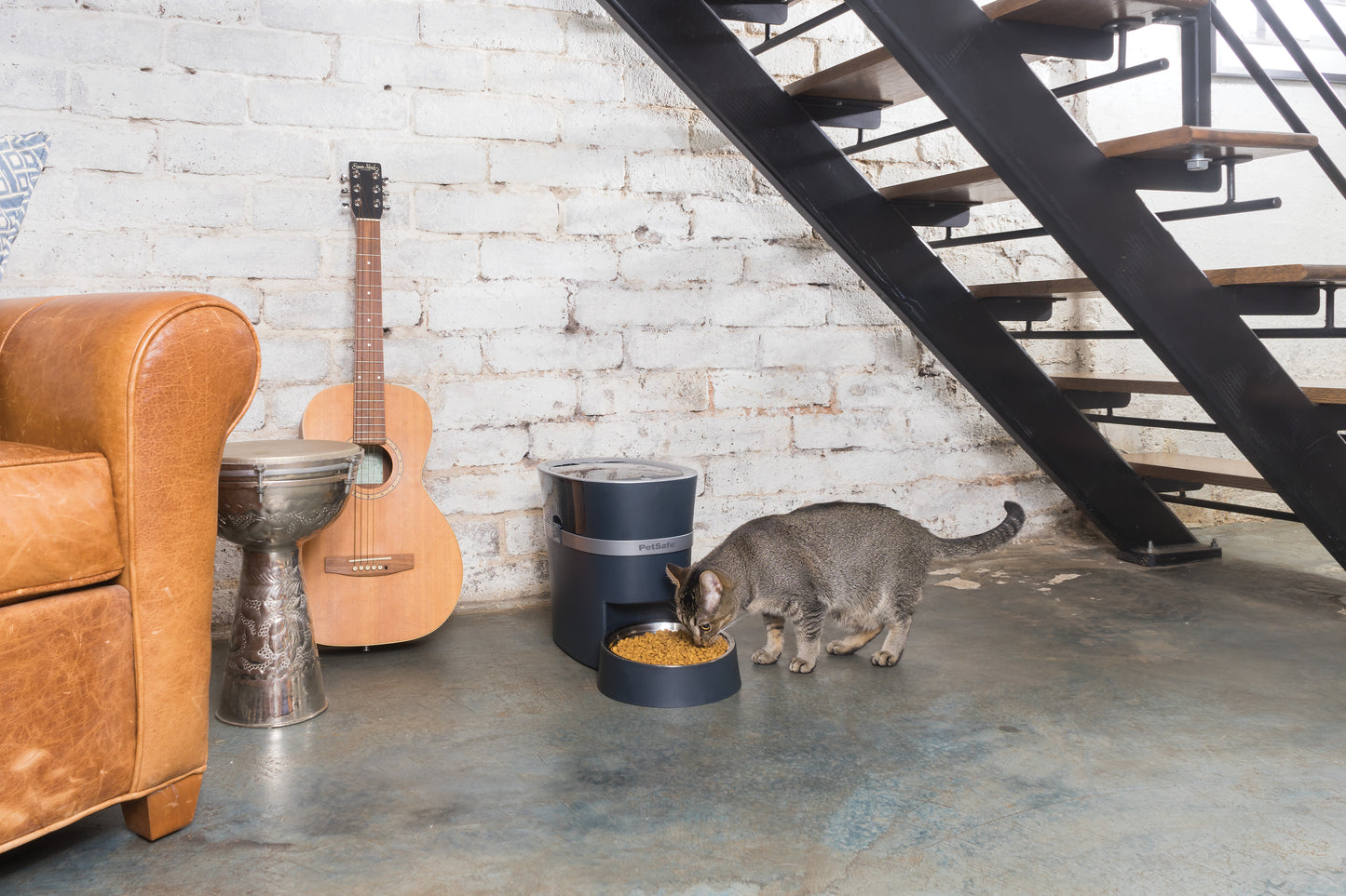 Food divider & bowl for 2 pets