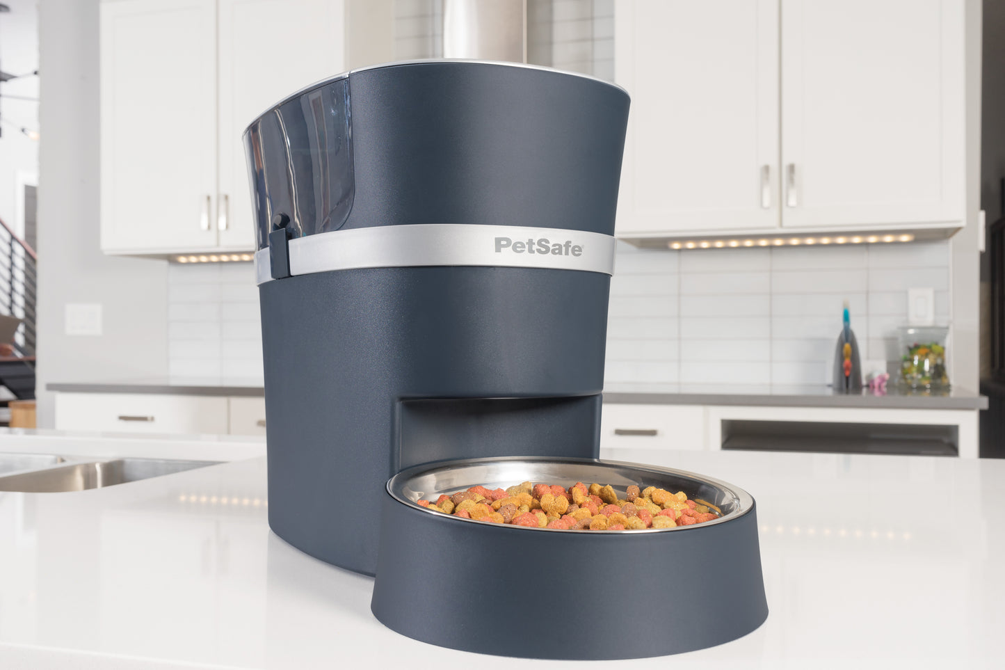 Food divider & bowl for 2 pets