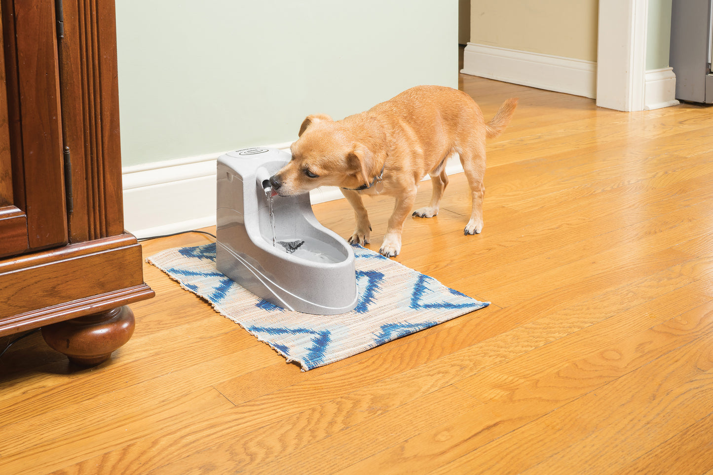 Pet fountain Drinkwell Mini