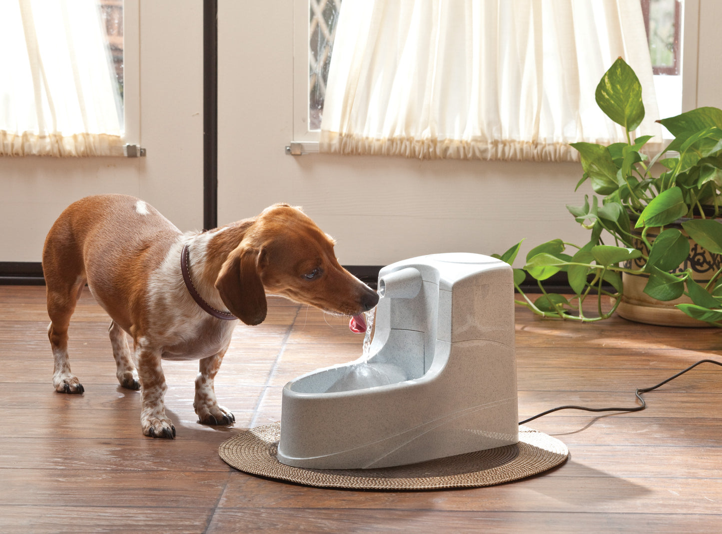 Pet fountain Drinkwell Mini