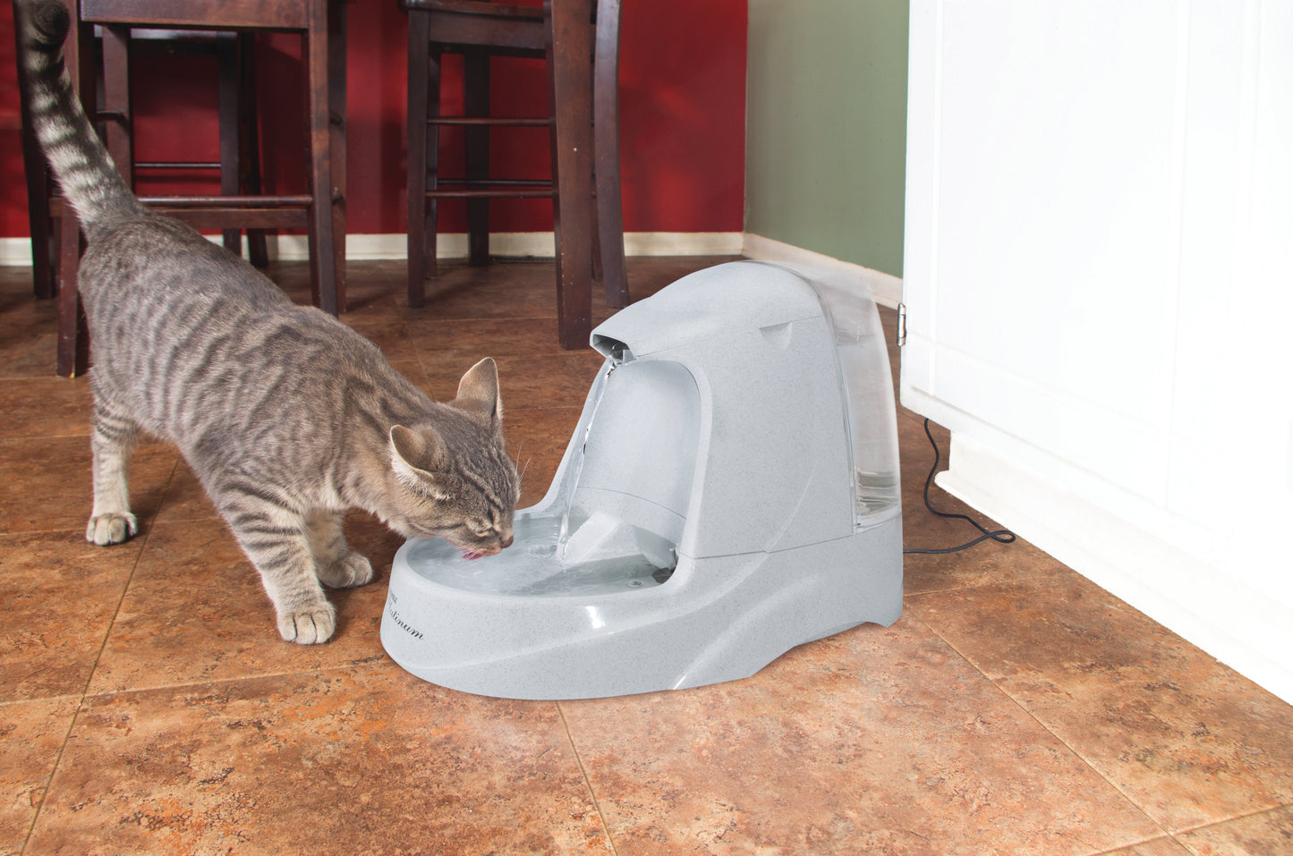 Pet fountain Drinkwell Platinum
