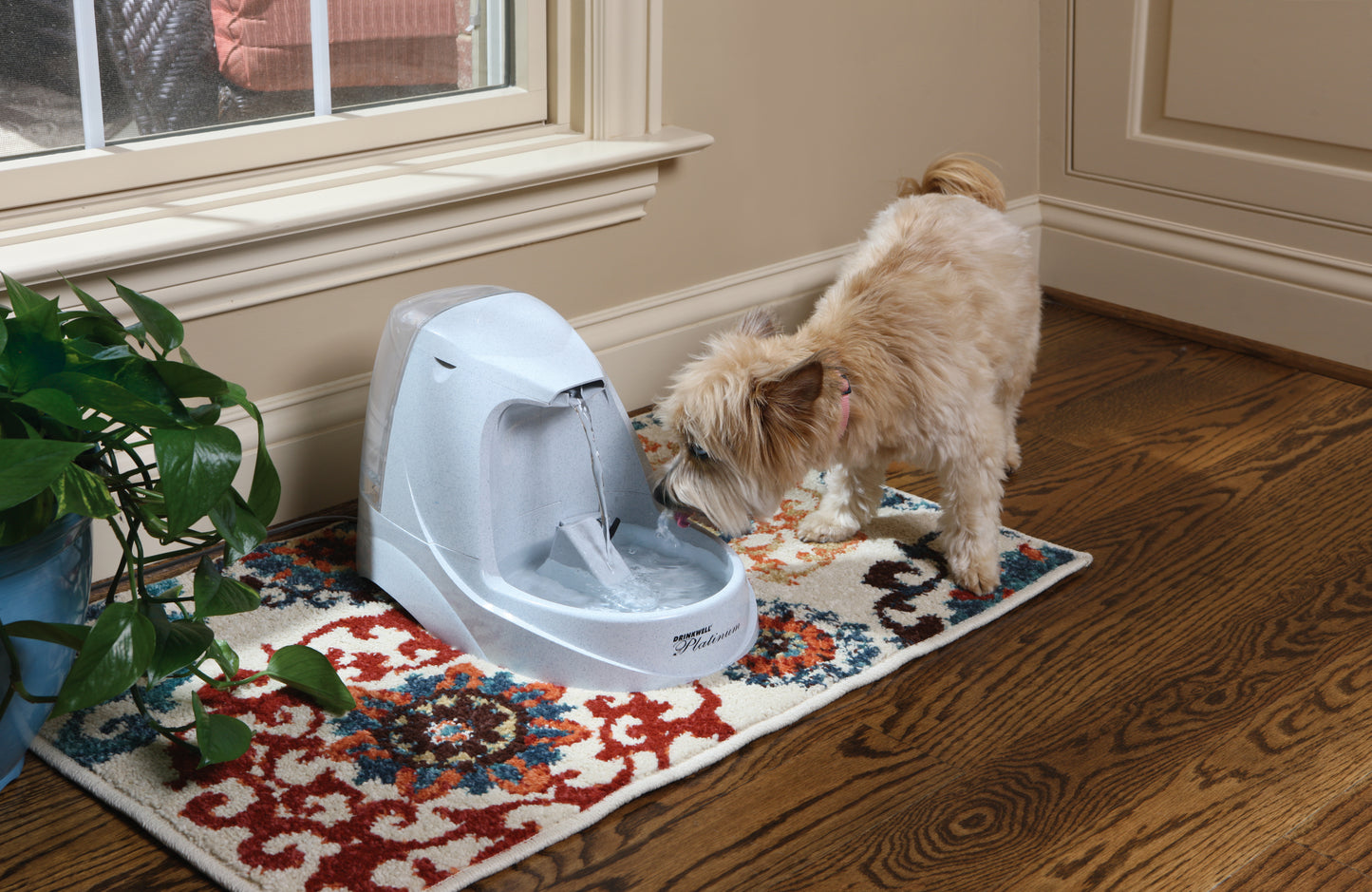Pet fountain Drinkwell Platinum