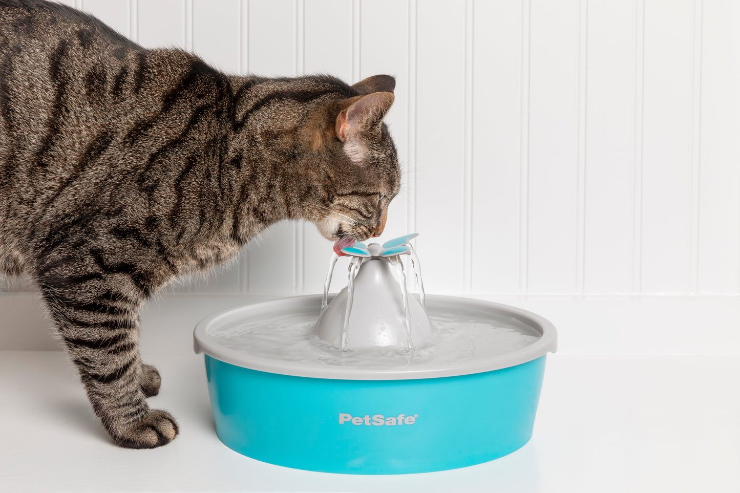 Drinkwell Butterfly Pet Fountain