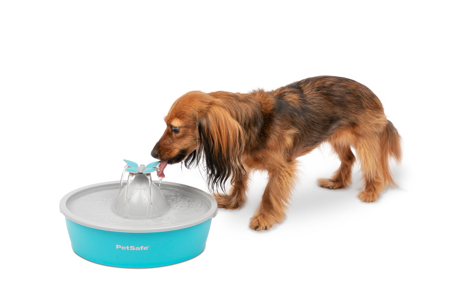 Drinkwell Butterfly Pet Fountain
