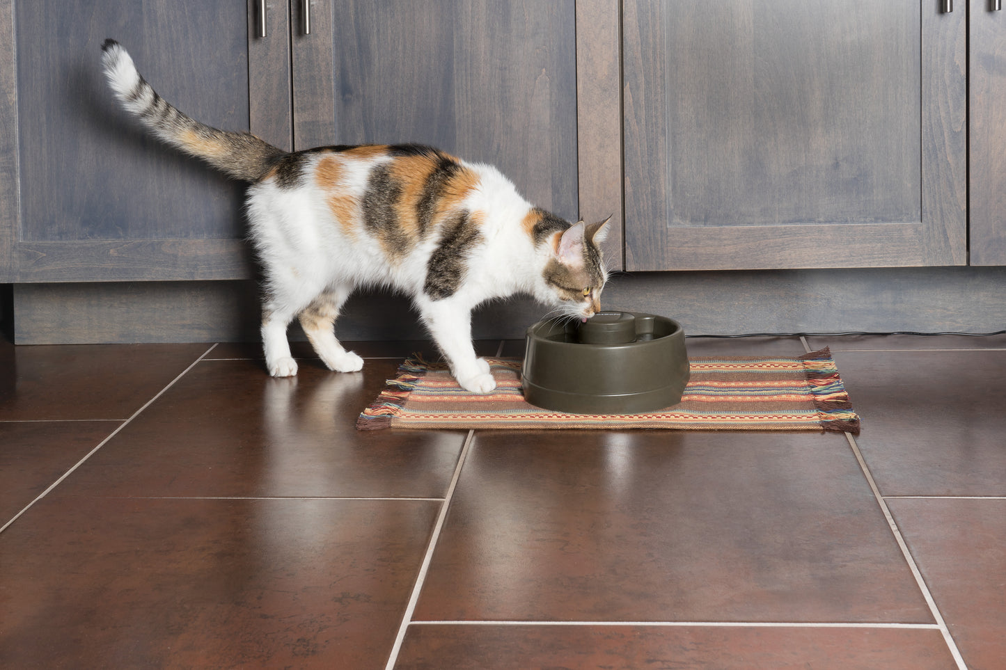 Drinkwell® Current Pet Fountain in klein/mittel/gross