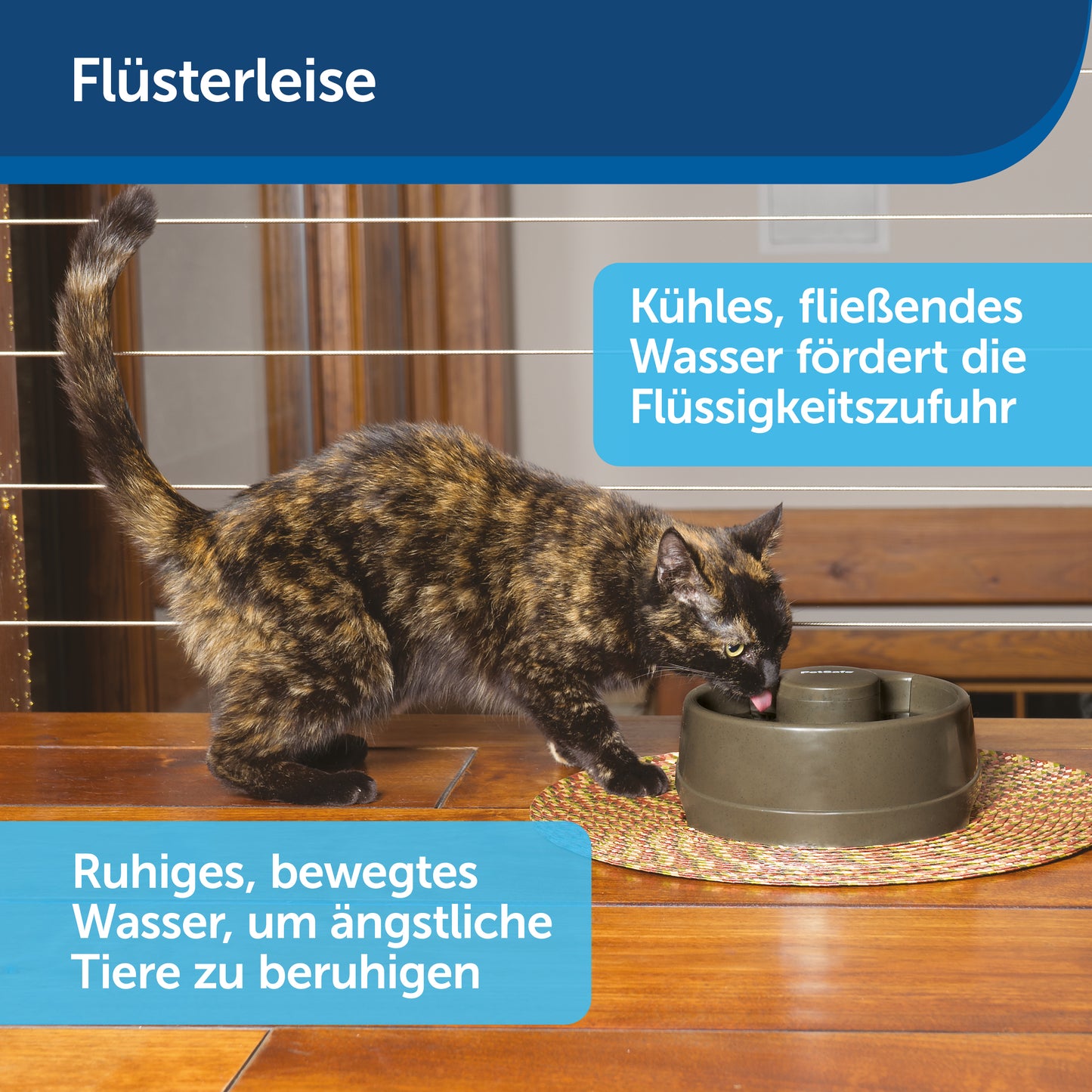 Drinkwell® Current Pet Fountain in klein/mittel/gross