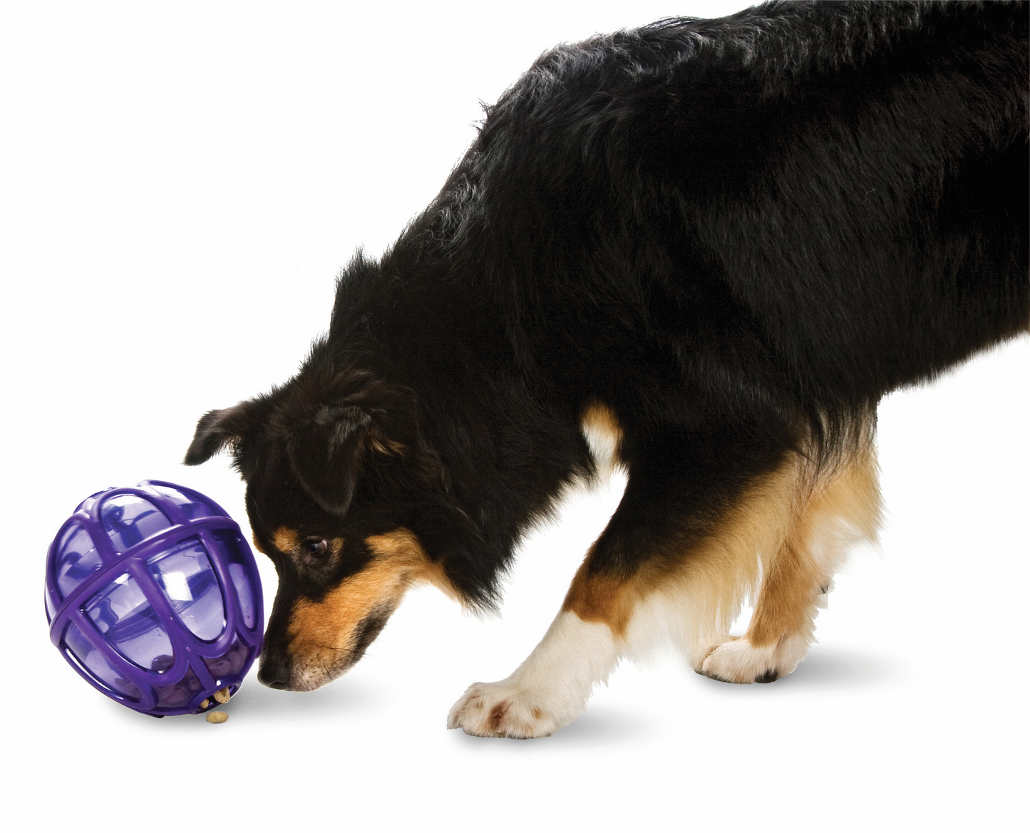 Busy Buddy Premier Futterball