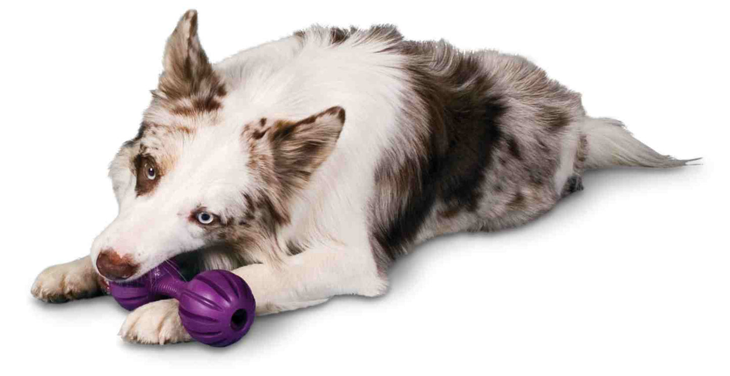 Busy Buddy Waggle, XS/M