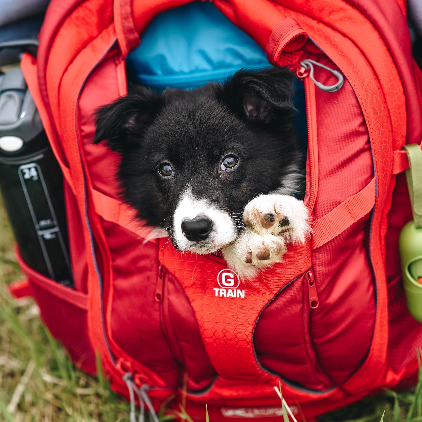G-Train K9 Rucksack rot