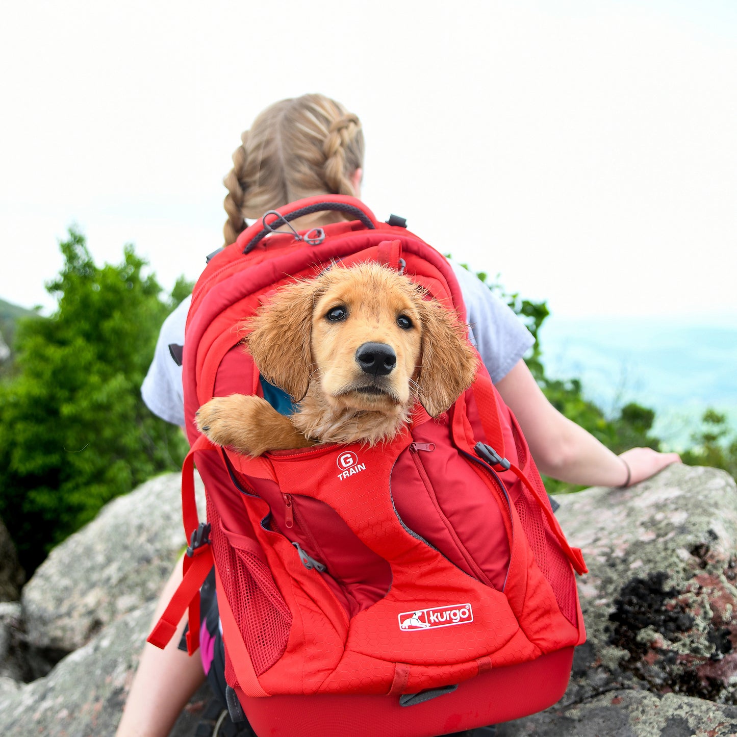 G-Train K9 Rucksack rot