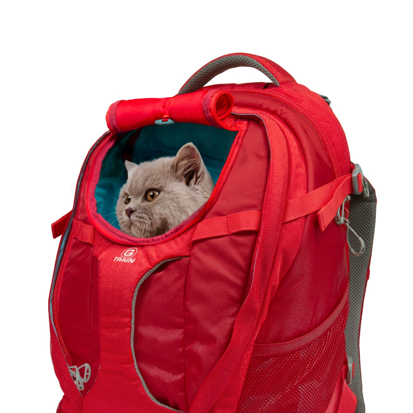 G-Train K9 Rucksack rot