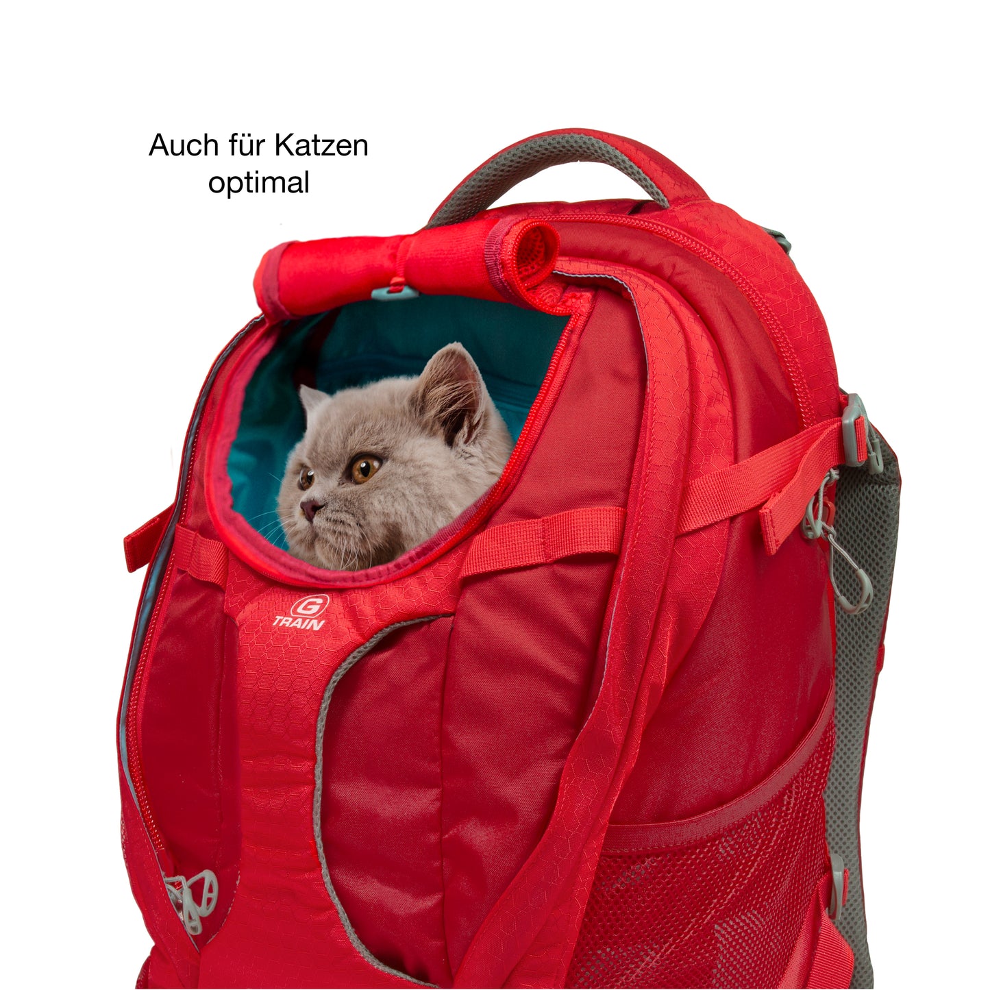 G-Train K9 Rucksack rot