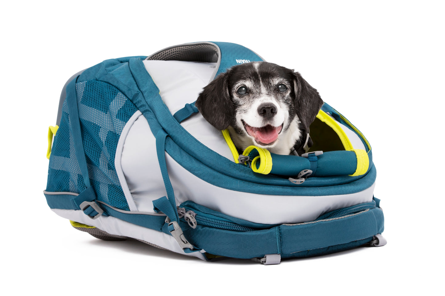 G-Train K9 Rucksack Blau