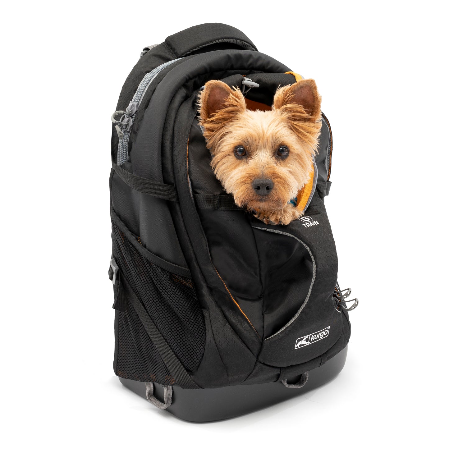 G-Train K9 Rucksack schwarz