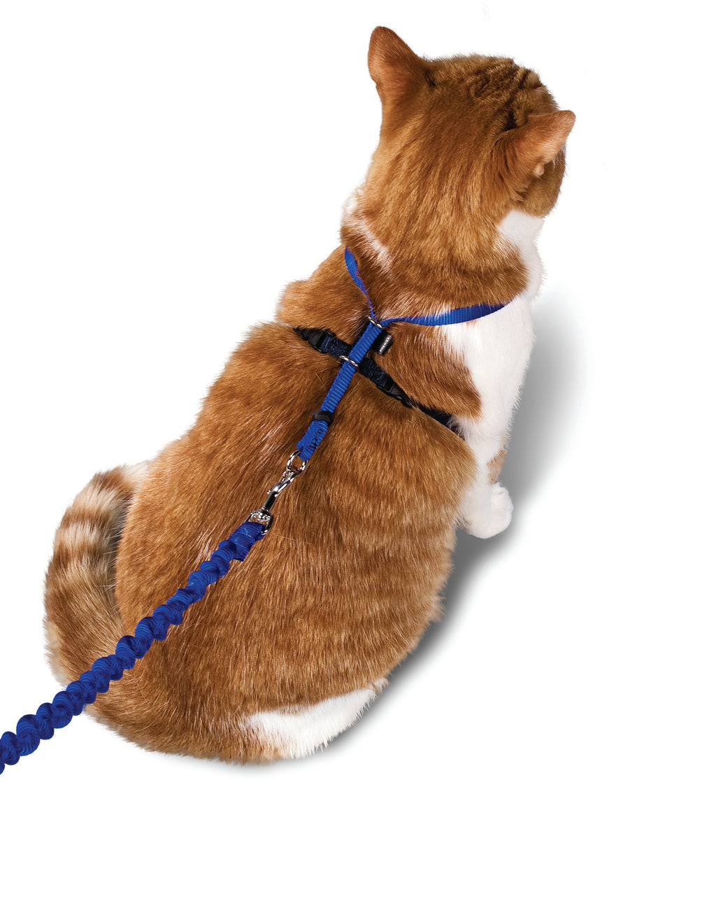 Cat set Easy Walk blue S/M/L