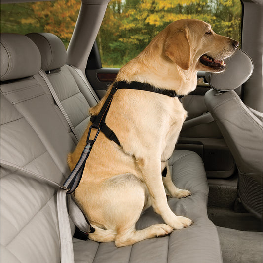 Tru-Fit Smart harness including seat straps