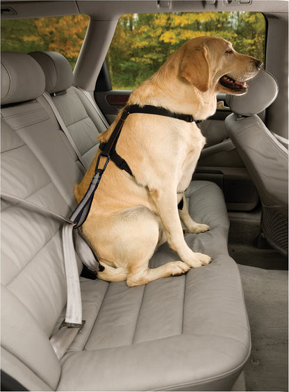 Tru-Fit Smart harness including seat straps