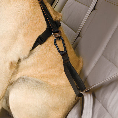 Tru-Fit Smart harness including seat straps