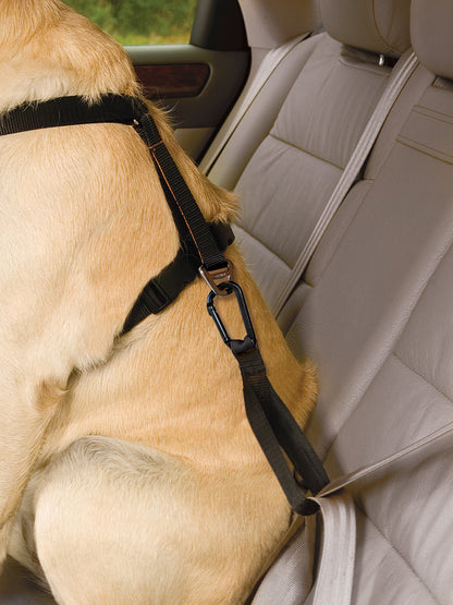 Tru-Fit Smart harness including seat straps