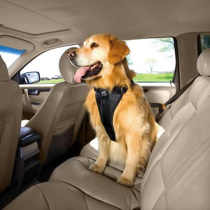 Tru-Fit Smart harness including seat straps
