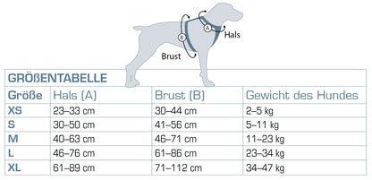 Tru-Fit Smart harness including seat straps