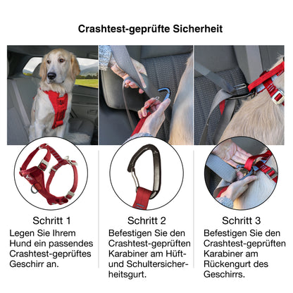 Tru-Fit Smart harness including seat straps