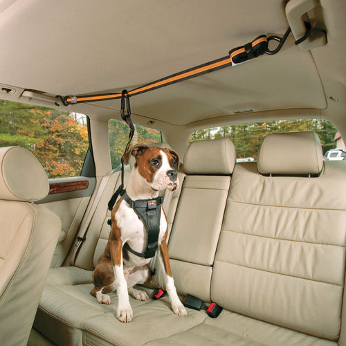 Auto zip straps with leash, orange