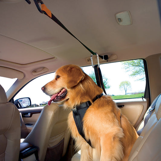 Auto zip straps with leash, orange