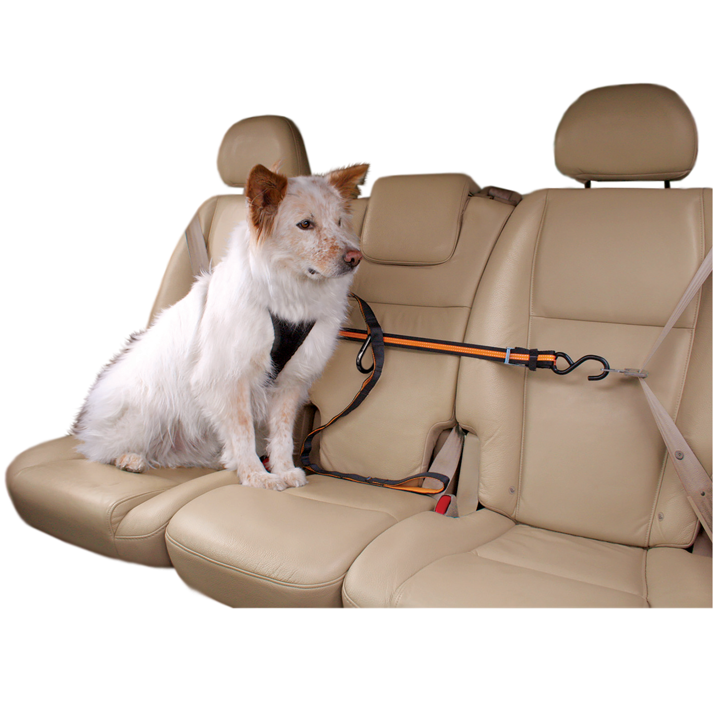 Auto zip straps with leash, orange